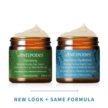 Antipodes Harmony Hyaluronic Manuka Honey Night Cream 60mL