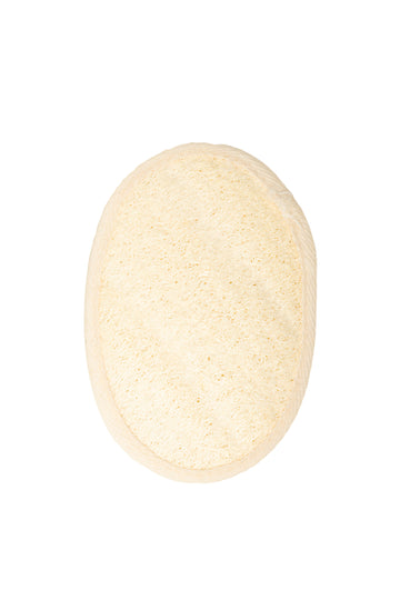 Beauty Theory Cotton Back Loofah Pad