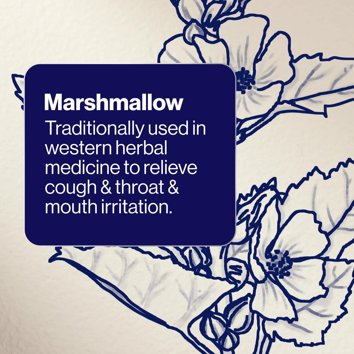ArmaForce® Cough Relief