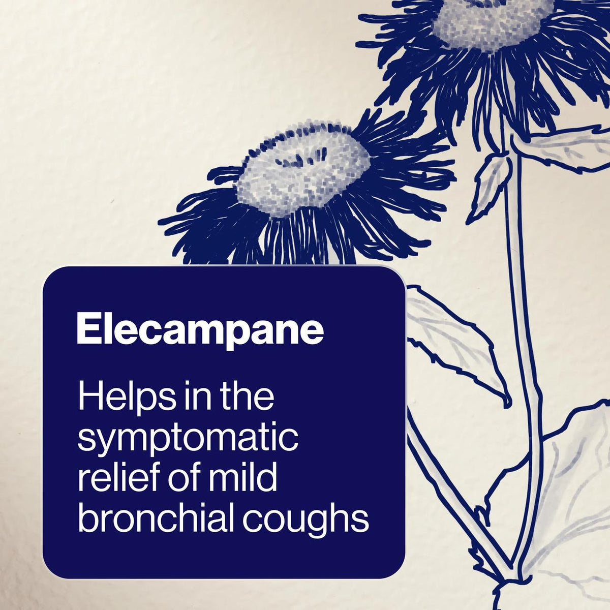 ArmaForce® Cough Relief