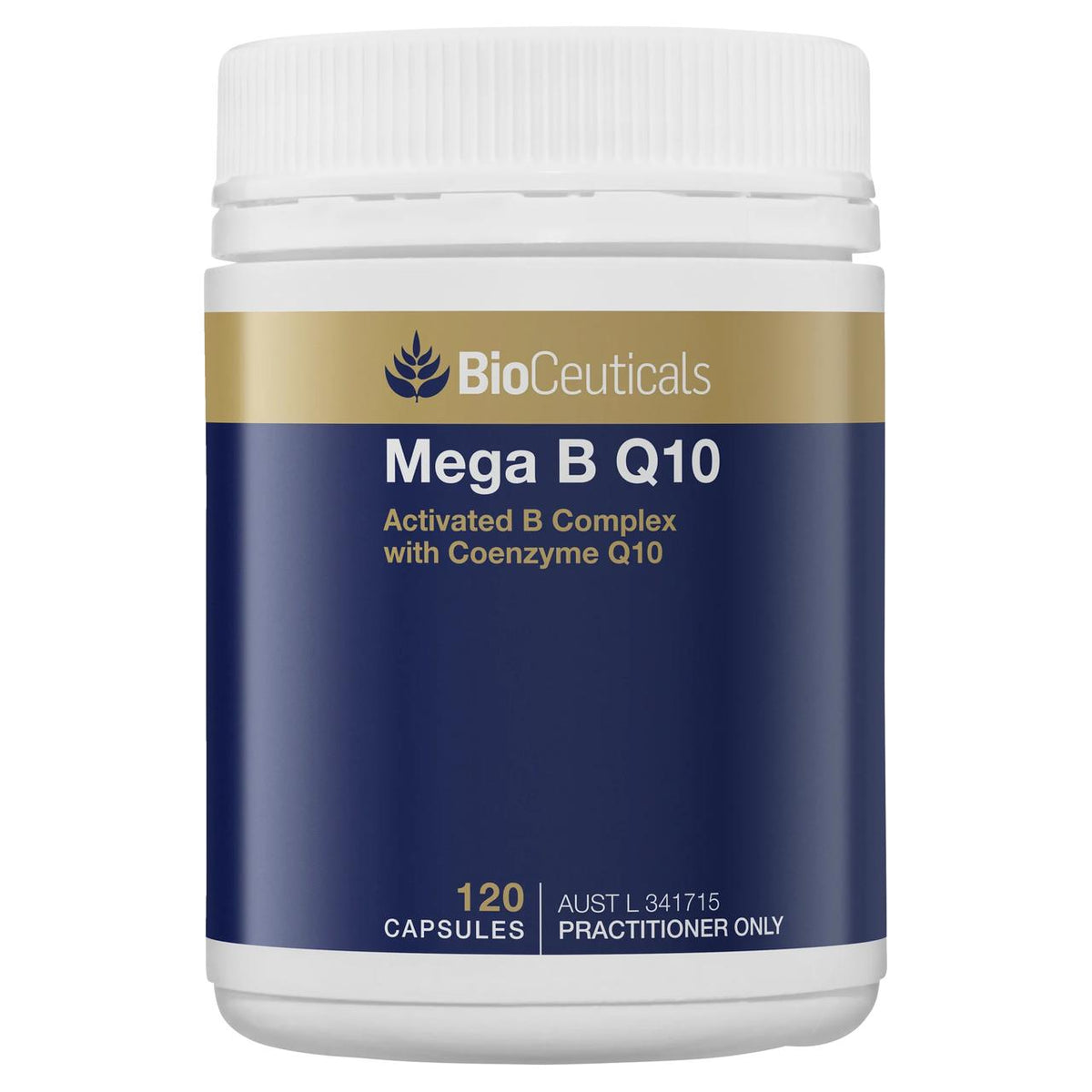Mega B Q10 120 Capsules
