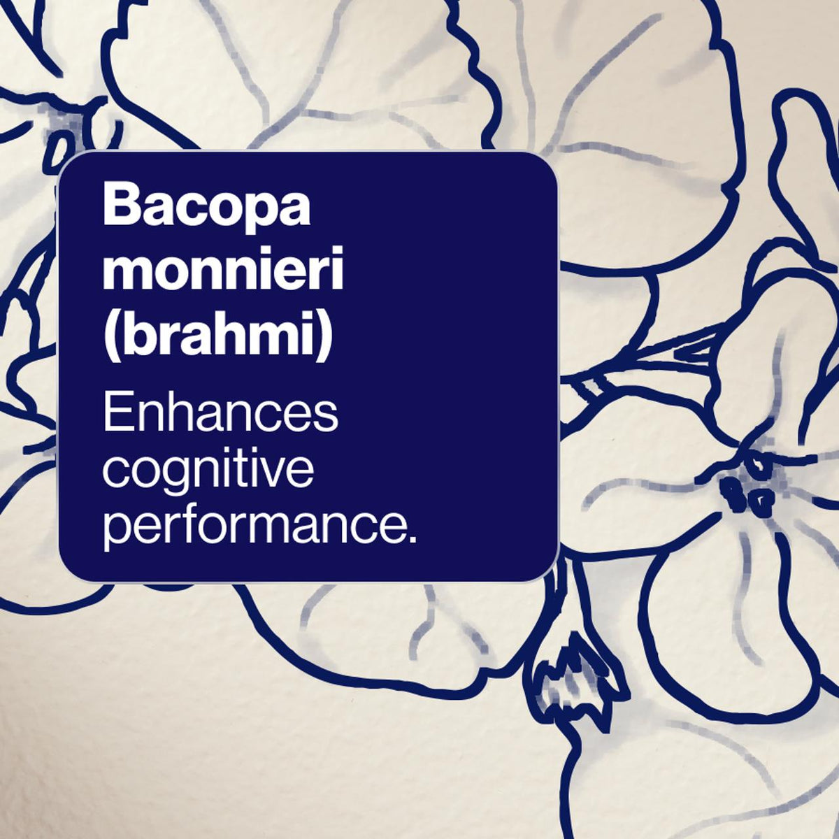 Cognition Performance+