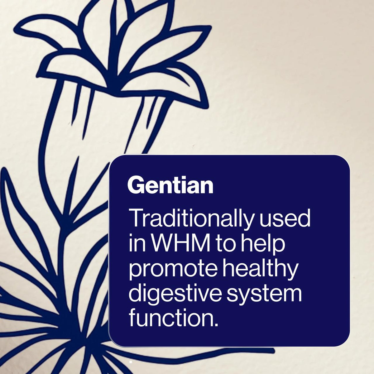 MultiGest® Enzymes