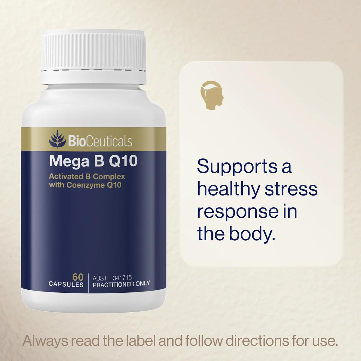 Mega B Q10